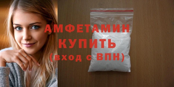 прущие грибы Медногорск