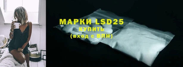 шишки Мегион