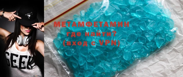 прущие грибы Медногорск